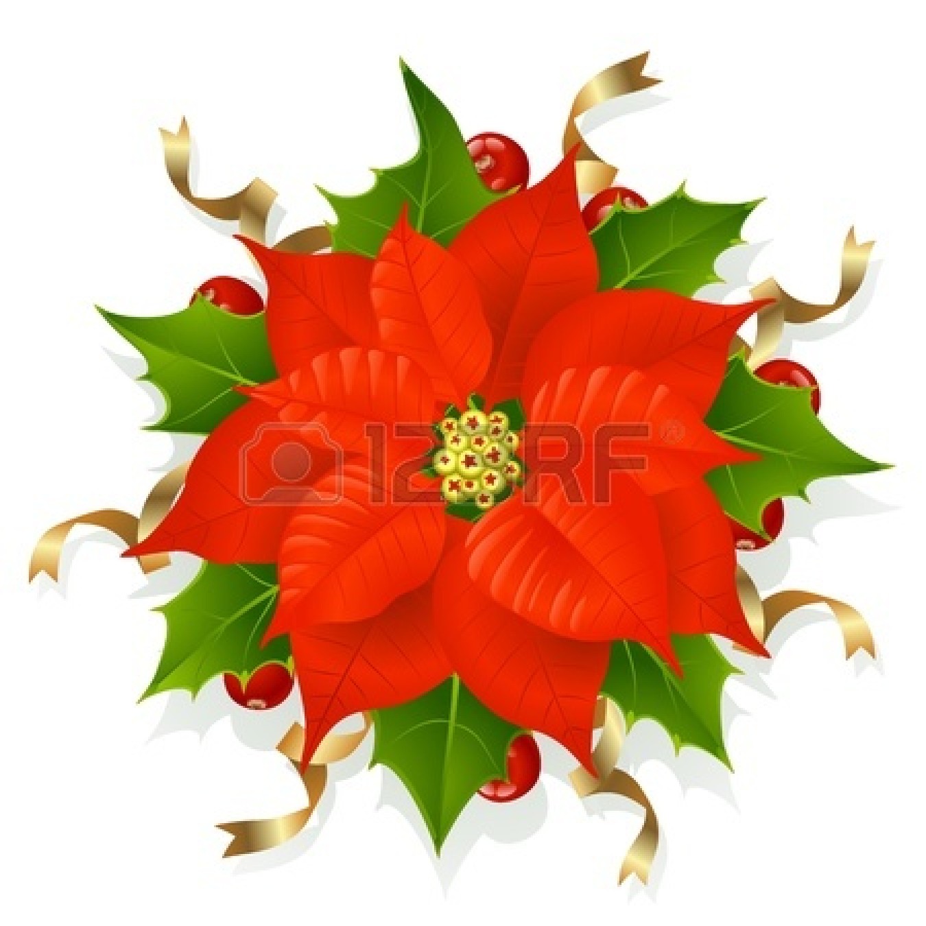 1350x1350 Poinsettia Clipart Teacher