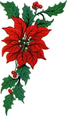 236x403 Poinsettia Clipart Christmas Flower