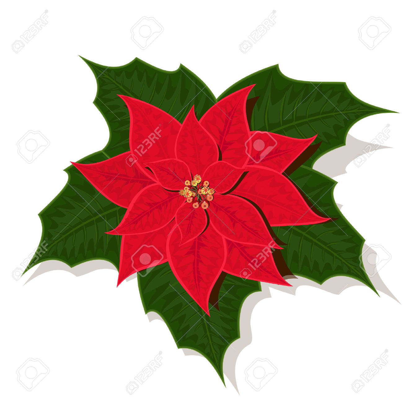 1300x1300 Poinsettia Clipart Poinsettia Plant