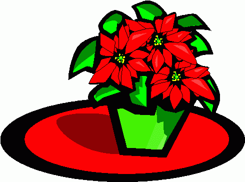 490x364 Poinsettia Clipart Potted Plant