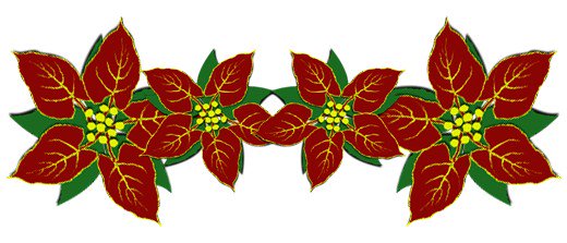 520x223 Poinsettia Clipart Red Christmas