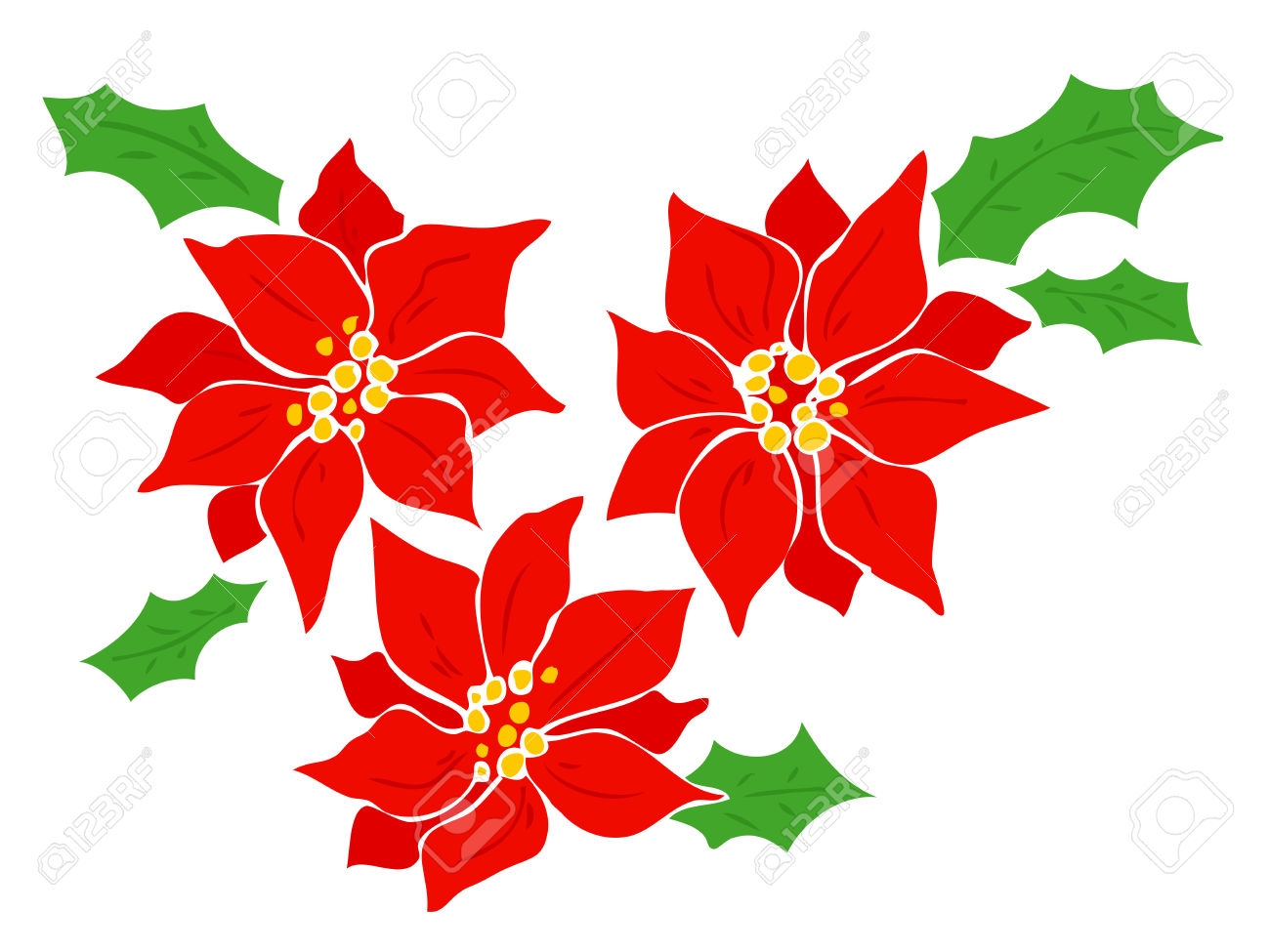 1300x975 Poinsettia Flower Clip Art