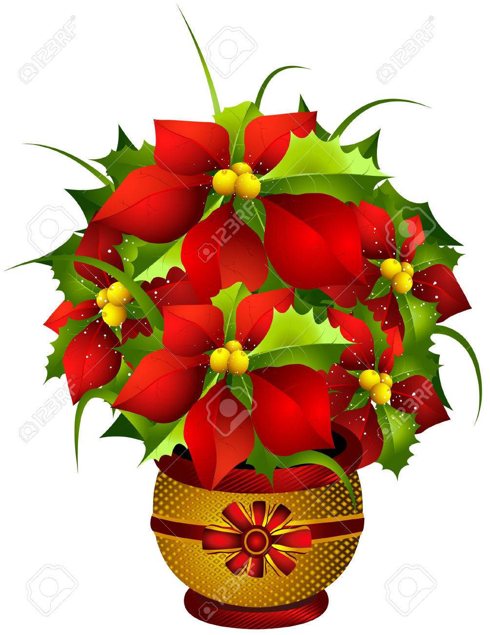 1005x1300 Poinsettia Illustration With Clipping Path Royalty Free Cliparts