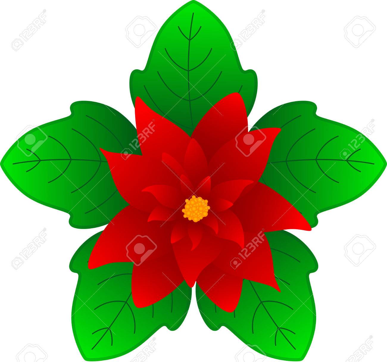 1300x1216 Poinsettia Is A Traditional Christmas Flower. Also Known As