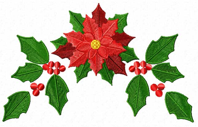 644x413 Poinsettia Pictures Free Download
