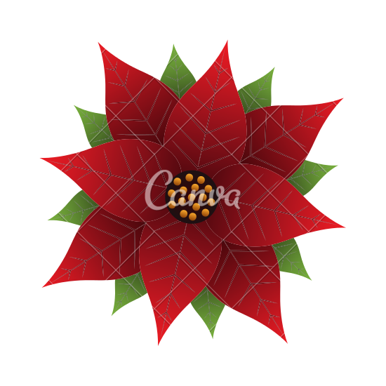 550x550 Christmas Poinsettia Flower And Leaves Decoration