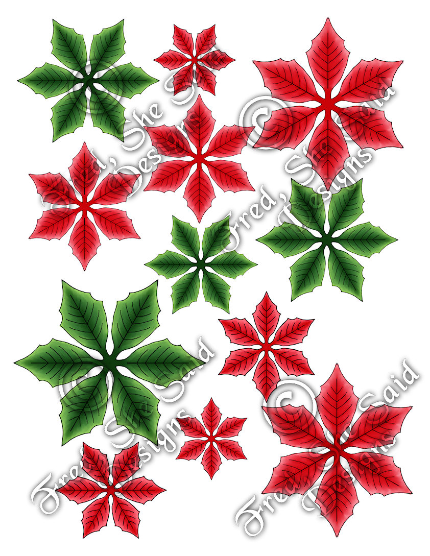 842x1089 Fred, She Said Designs The Store Pointy Poinsettia Flowers