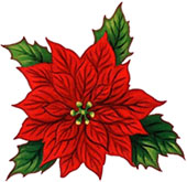 170x165 Pointsettia Clipart