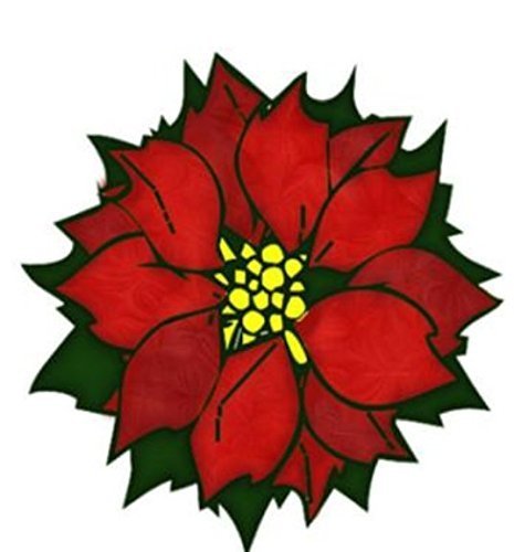 465x500 Red Poinsettia Christmas Flower