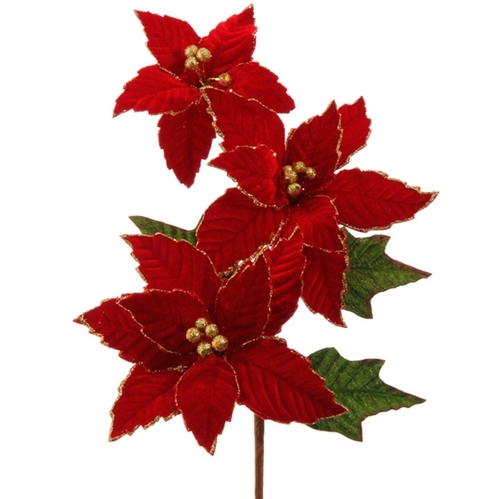 500x499 Red Poinsettia Flower On Floral Stem Raz F3626072