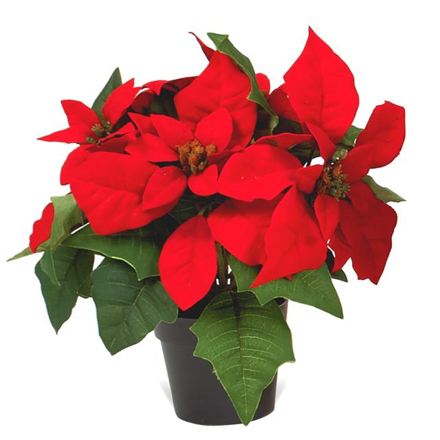 640x640 Artificial Potted Poinsettia Plant With Red Flowers