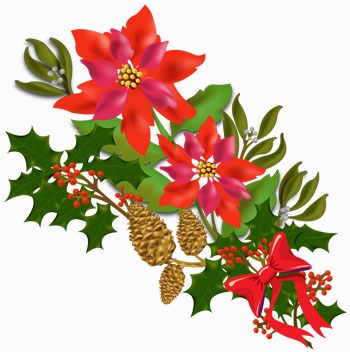 350x352 Bouquet Clipart Poinsettia
