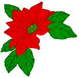 155x154 Poinsettia Clip Art Download
