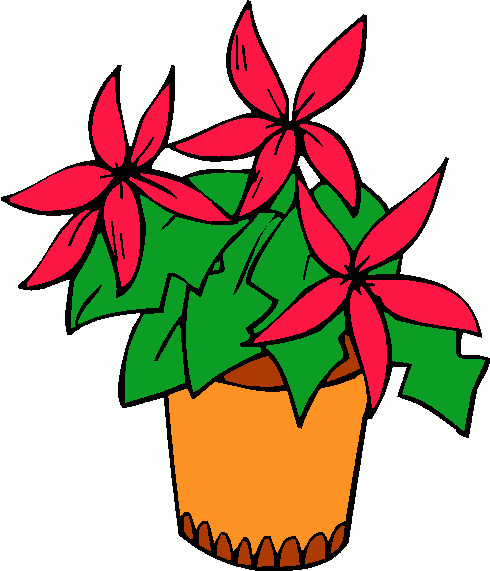 490x571 Poinsettia Clipart 2166218