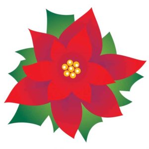 300x300 Poinsettia Sale