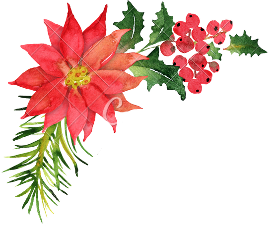 550x458 Christmas Bouquet With Poinsettia