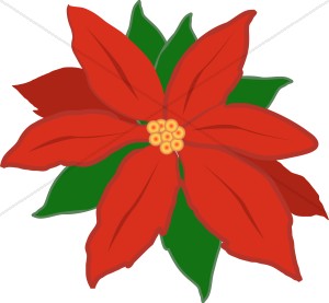 300x277 Free Poinsettia Clipart Many Interesting Cliparts