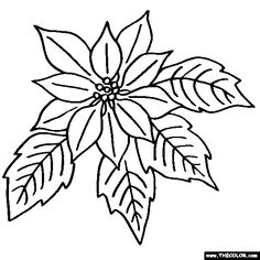 236x236 Poinsettia Clipart Free Black And White