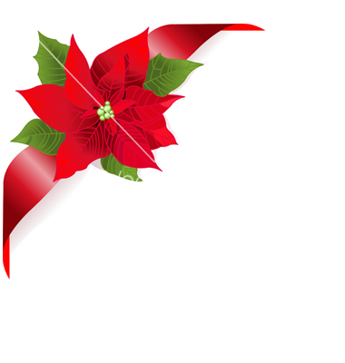380x400 Poinsettia Pictures Free Download
