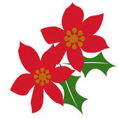 170x170 Poinsettias Stock Illustrations