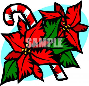 350x339 Candy Cane With Poinsettia Flowers