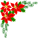 134x134 Poinsettia Clipart Free