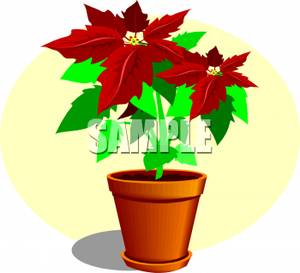 300x273 Red Poinsettia Flowers In A Potted Plant Clipart Picture