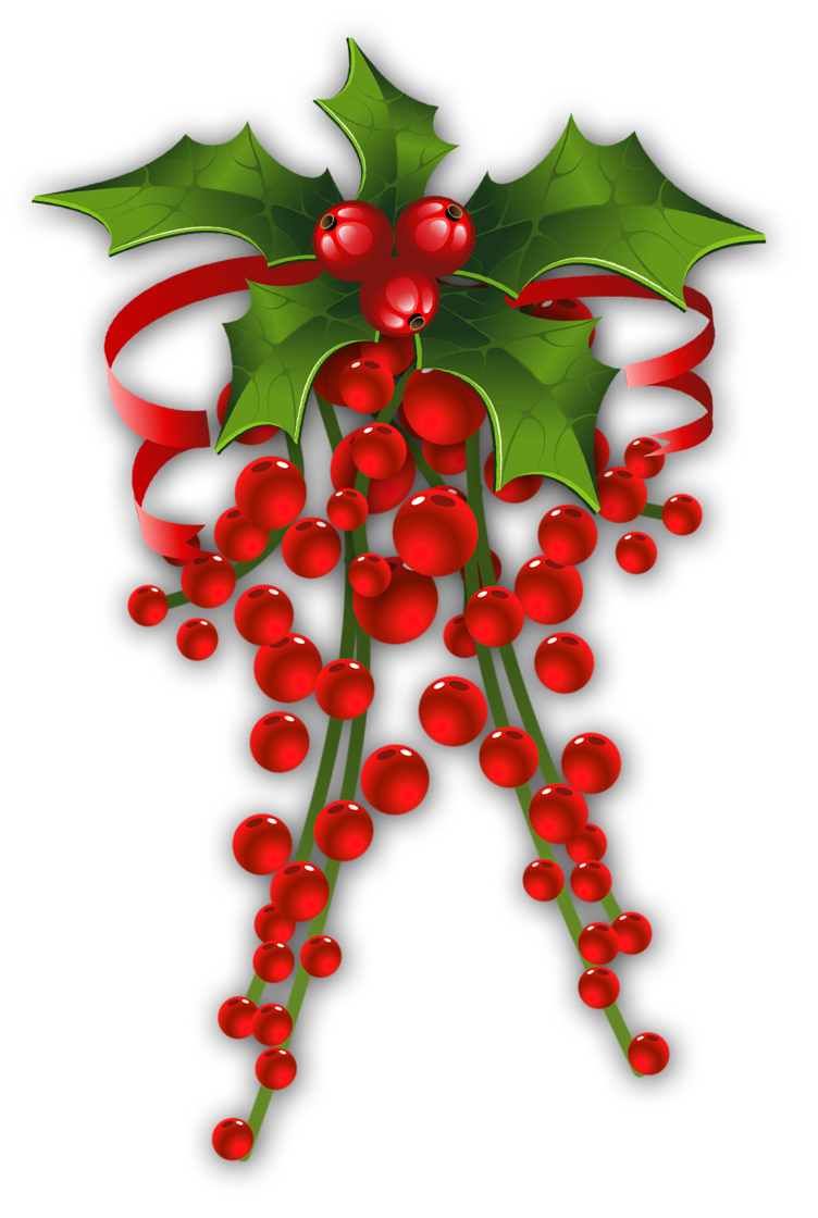 752x1120 Christmas Holly