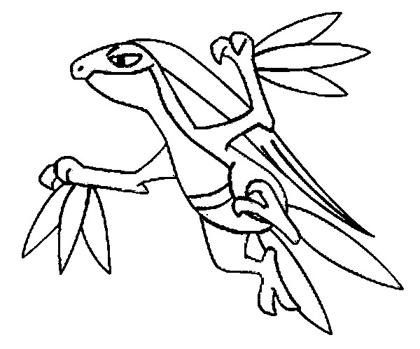 600x499 Pokemon Grovyle Coloring Pages Drawings