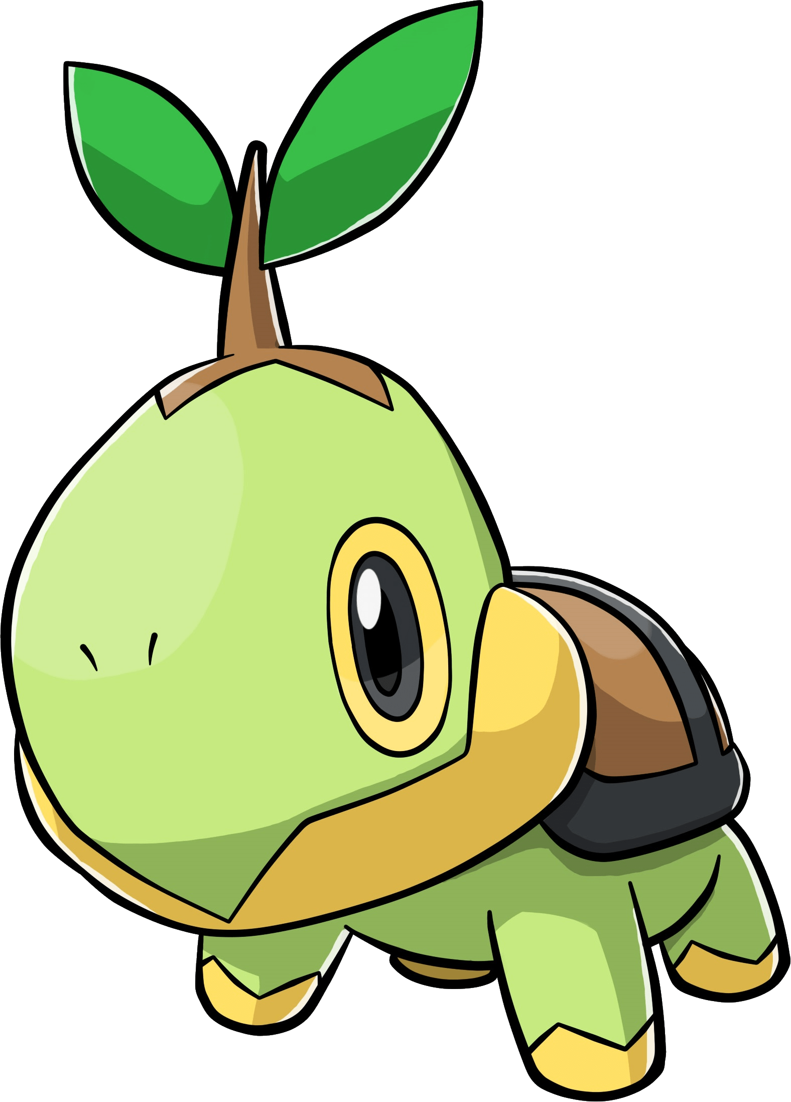 1576x2195 Turtwig Pokemon Transparent Png