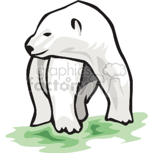 300x300 Royalty Free Polar Bear Looking Over Shoulder 130020 Vector Clip
