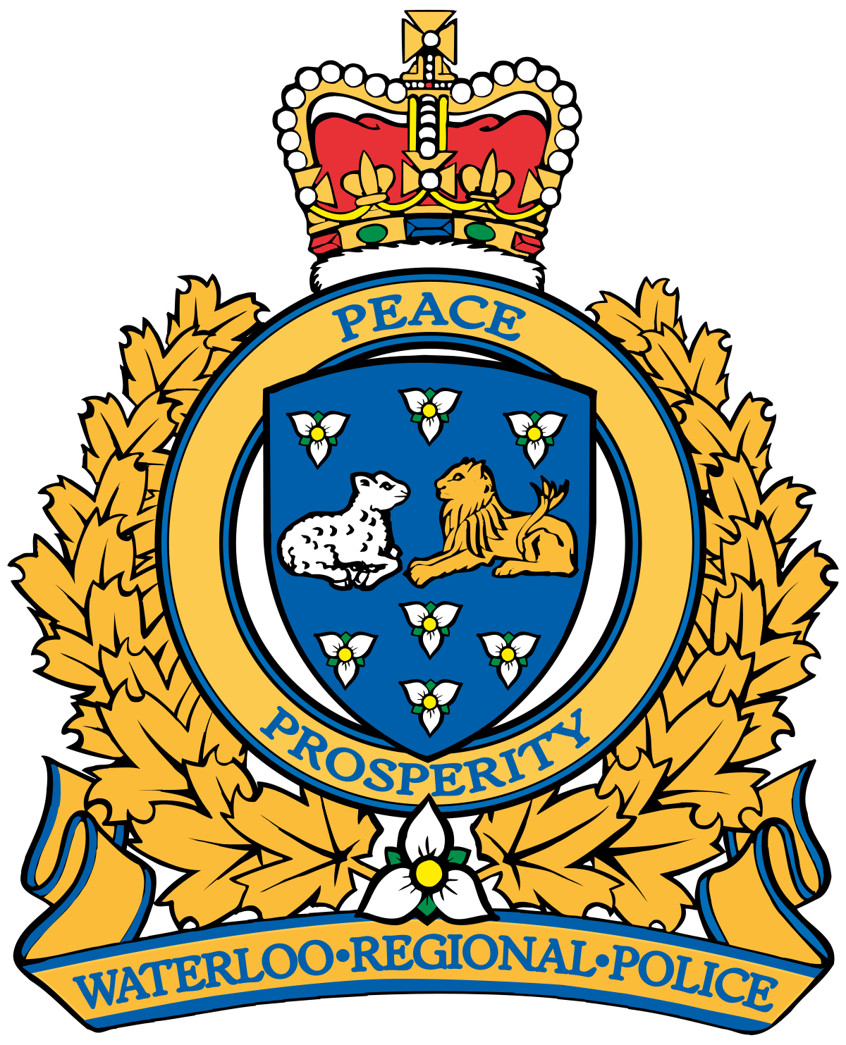 1200x1483 Waterloo Regional Police Service