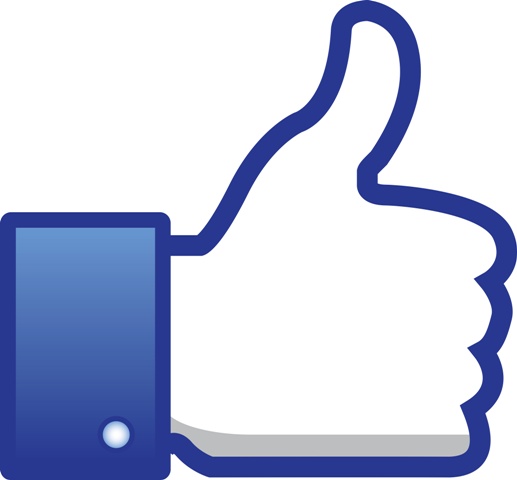 517x480 The Role Played By Social Media In Political Participation