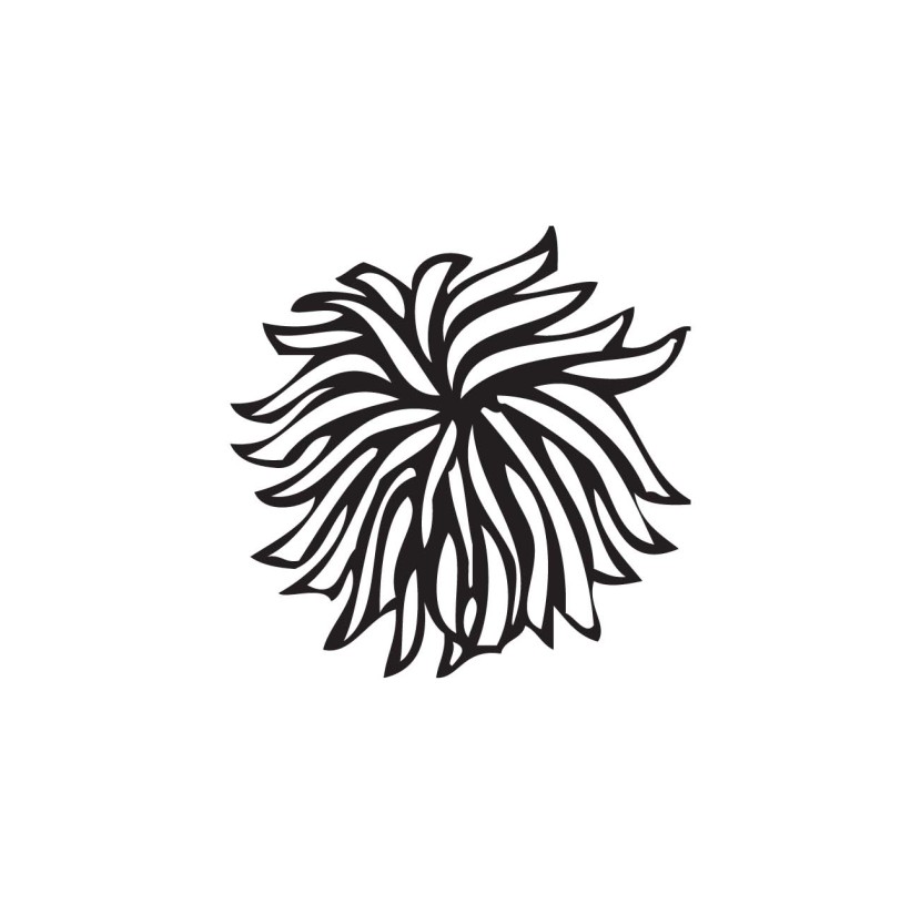 830x816 Pom Poms Cheer Clipart, Explore Pictures