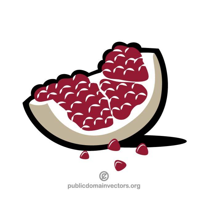 660x660 Pomegranate Vector Image