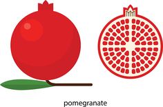 236x155 Pomegranate Clip Art, Vector Images Amp Illustrations