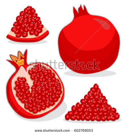 450x470 Pomegranate Clipart Logo