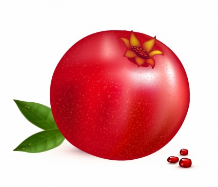 425x364 Pomegranate Clipart Photo