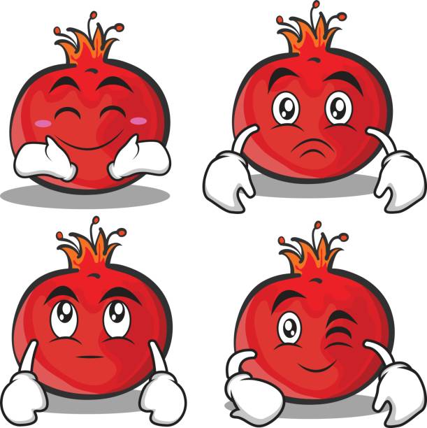 611x612 Pomegranate Clipart Water
