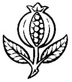 232x264 Pomegranate Vector Clip Art Pomegranates