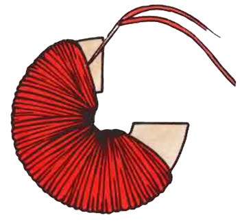 350x326 Pom Pom Clip Creatures Craft