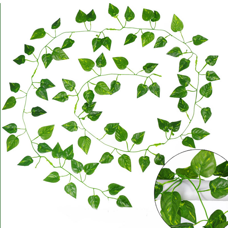 800x800 Wedding Pom Poms Clip Art Cliparts