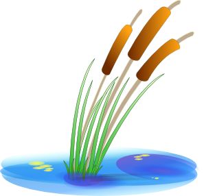 300x286 16 Best Seaweed Images Images Fish, Clip Art And Coral