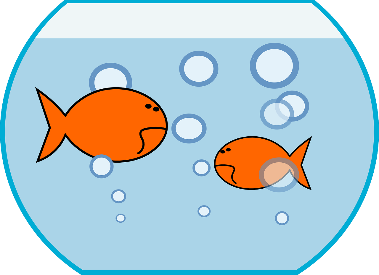 1280x930 Pond Clipart Small