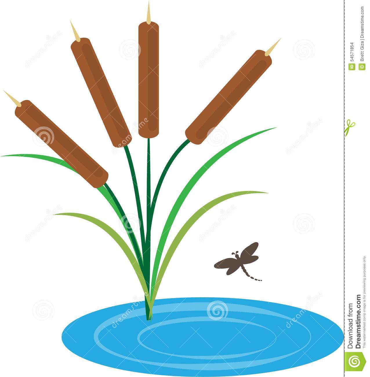 1276x1300 Cattails In Pond Clip Art Cliparts