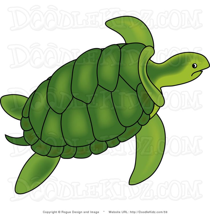 Pond Clipart Free