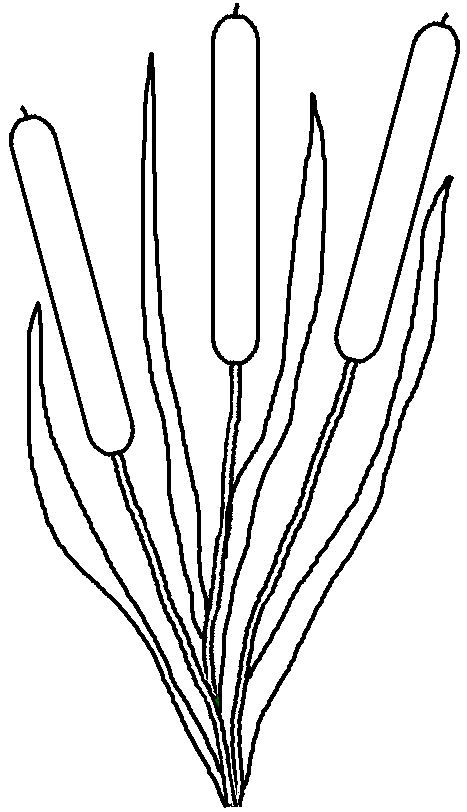 467x812 Graphics By Ruth