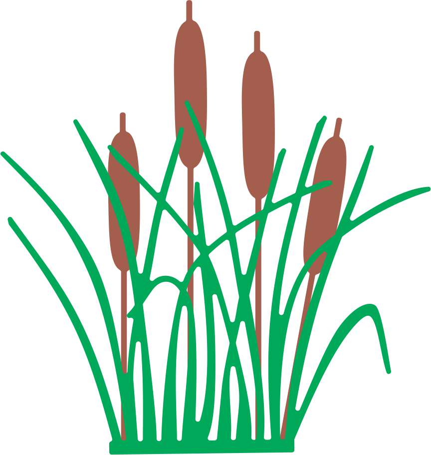 864x912 Pond Clipart Cattail