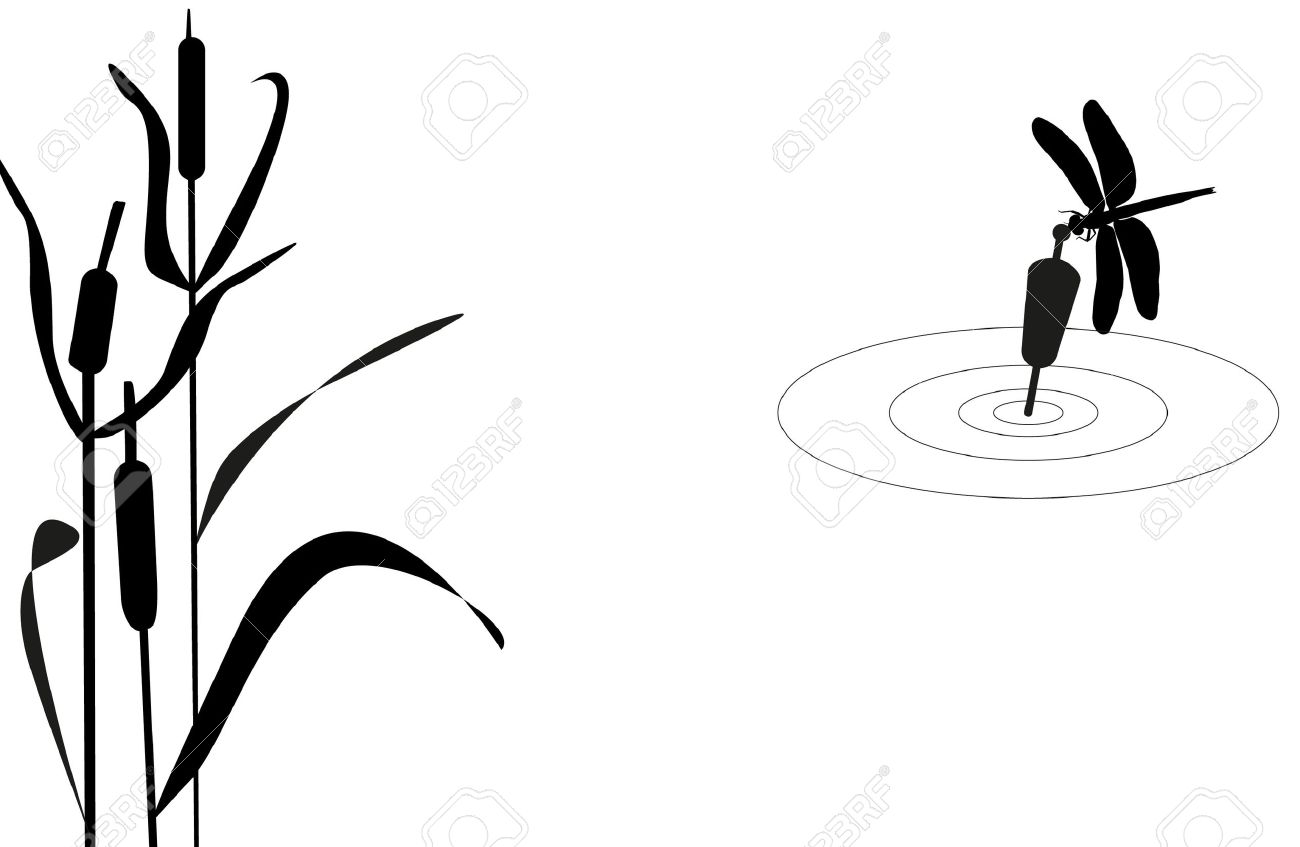 1300x847 Reed Clipart Pond Reed