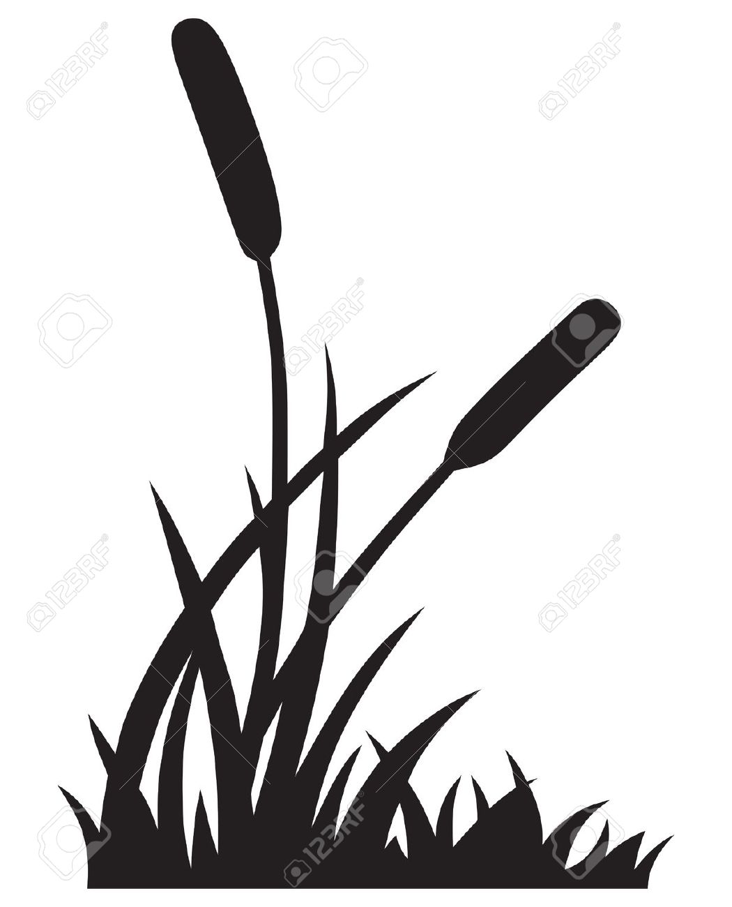 1050x1300 Bush Clipart Pond Reed